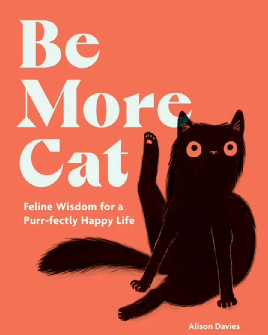 Bright orange Be More Cat book cover featuring a playful black cat—Available at Be Charmed