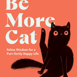 Bright orange Be More Cat book cover featuring a playful black cat—Available at Be Charmed