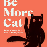 Bright orange Be More Cat book cover featuring a playful black cat—Available at Be Charmed