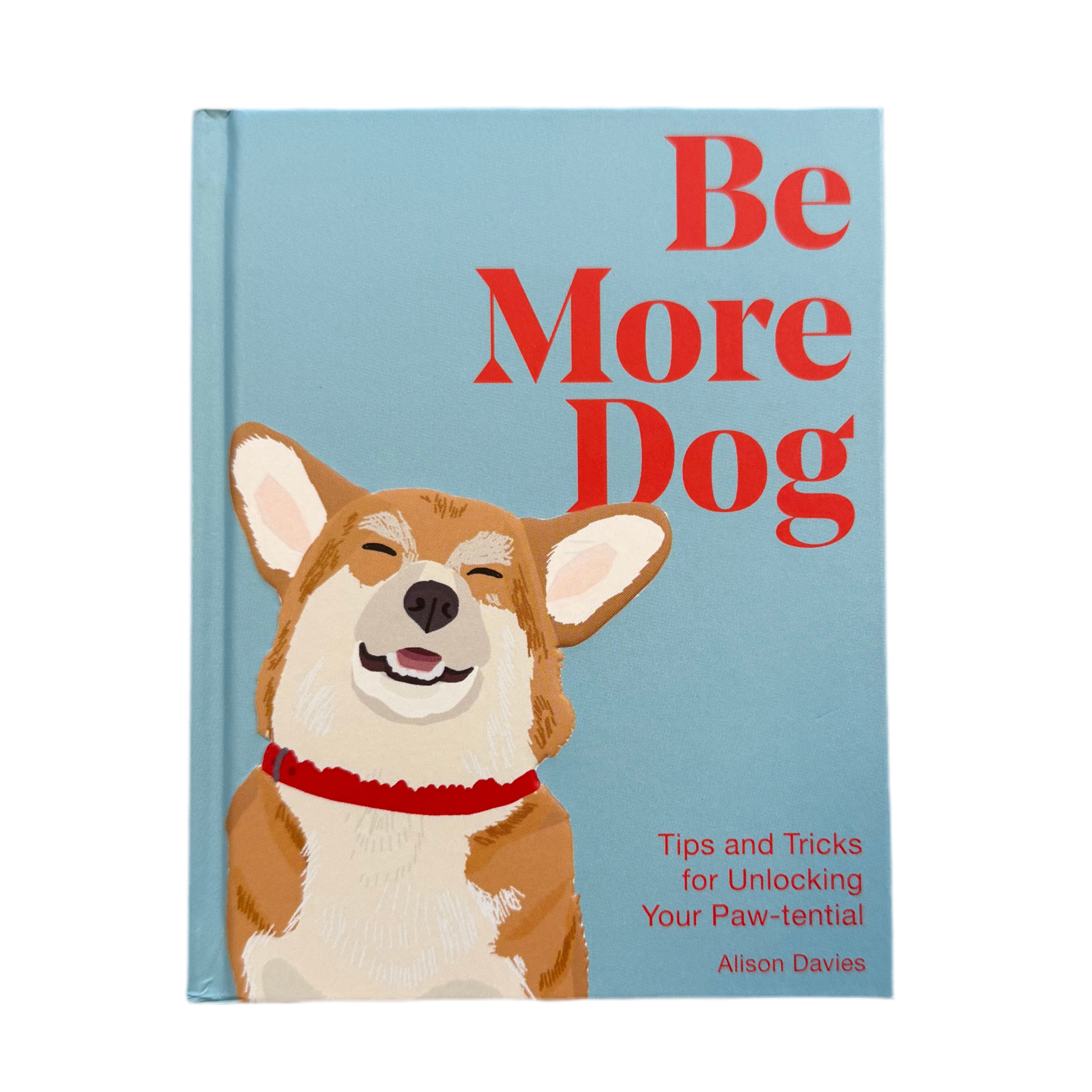Book titled 'Be More Dog' with a dog illustration on a light blue background. Available at Be Charmed
