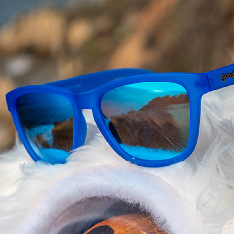 Close up of Goodr Falkor's Fever Dream Sunglasses featuring blue on blue frames and polarized lenses, inspired by whimsical fantasy and built for comfort, available at Be Charmed