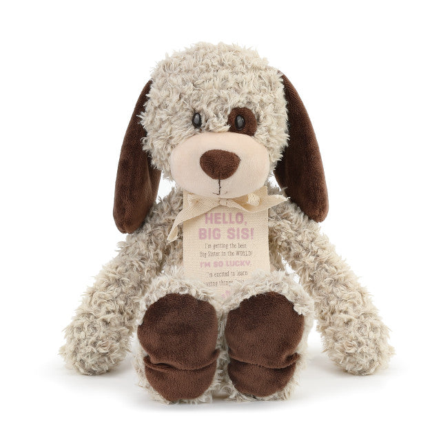 Demdaco Gifts from the New Kid – Big Sister keepsake gift with charming design. Available at Be Charmed