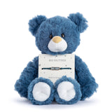 Blue teddy bear holding a 'Big Brother' card and bracelet on a white background. Available at Be Charmed