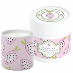 Annapolis Candle Candied Dragonfruit Merriweather Grove Candle 