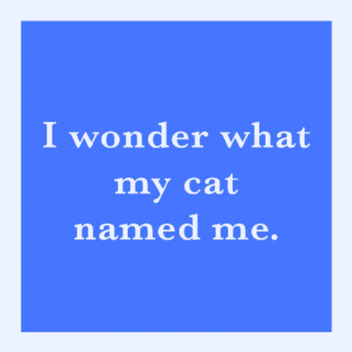 Drinks on Me "Cat Named Me" A blue square coaster with white text that reads 'I wonder what my cat named me.' Available at Be Charmed