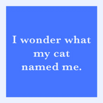 Drinks on Me "Cat Named Me" A blue square coaster with white text that reads 'I wonder what my cat named me.' Available at Be Charmed
