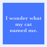 Drinks on Me "Cat Named Me" A blue square coaster with white text that reads 'I wonder what my cat named me.' Available at Be Charmed