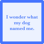 Funny "Dog Named Me" coaster by Drinks on Me with playful dog humor. Great gift for dog lovers and pet parents. Available at Be Charmed.