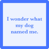Funny "Dog Named Me" coaster by Drinks on Me with playful dog humor. Great gift for dog lovers and pet parents. Available at Be Charmed.
