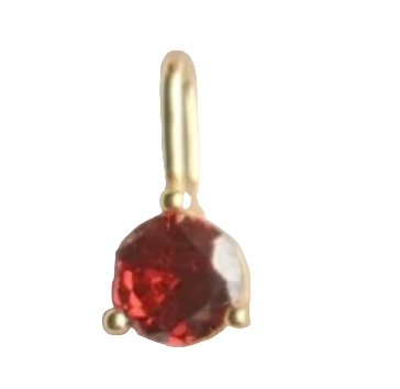 January FYB Birthstone Gold Charm Necklace – elegant personalized jewelry featuring a gold-plated charm and sparkling birthstone. Available at Be Charmed.