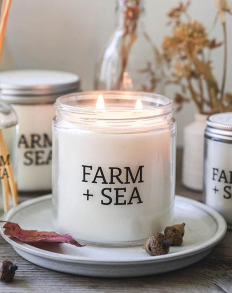 Farm + Sea 14 oz White Pumpkin Candle. Creamy pumpkin, vanilla, and fall spices in a hand-poured soy candle. Available at Be Charmed.