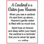 Ganz Cardinal Visitor from Heaven product card available at Be Charmed. 