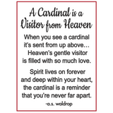 Ganz Cardinal Visitor from Heaven product card available at Be Charmed. 