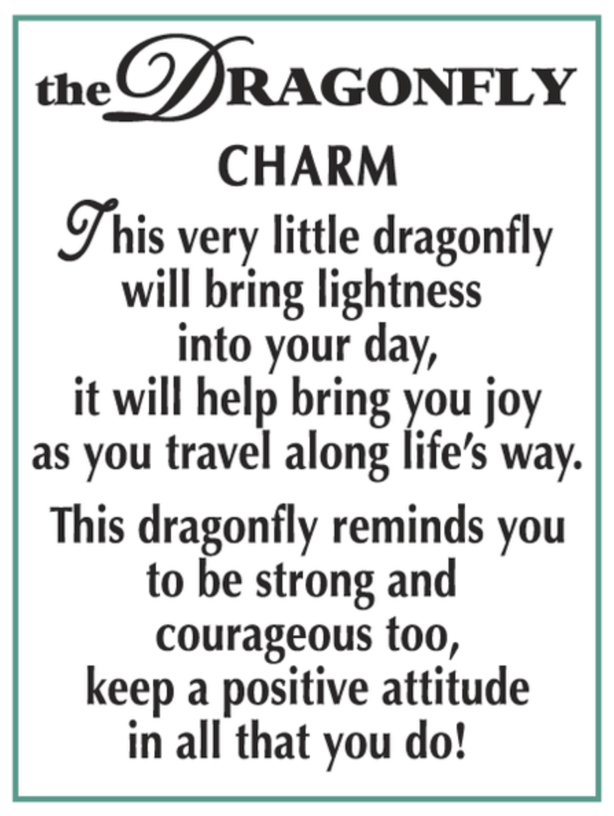 Text describing the Ganz Dragonfly Charm with a green border
