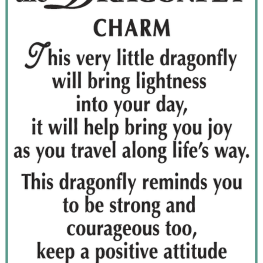 Text describing the Ganz Dragonfly Charm with a green border
