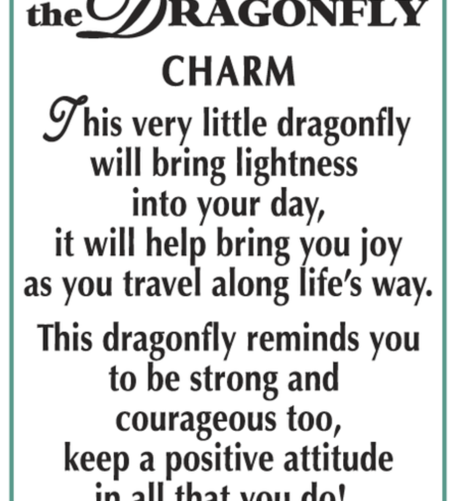 Text describing the Ganz Dragonfly Charm with a green border