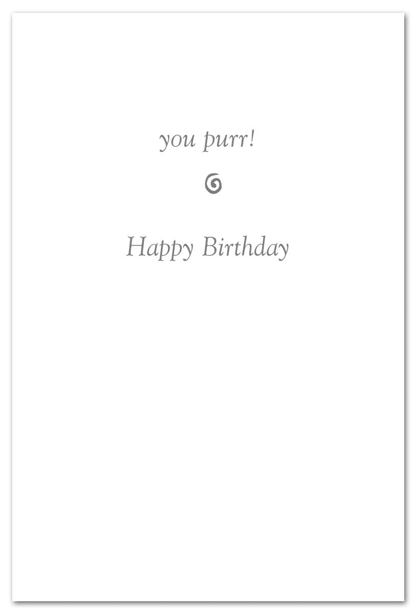 Inside of Birthday Card – playful illustration of a cat scratching with a lighthearted birthday message, perfect for feline fans, available at Be Charmed