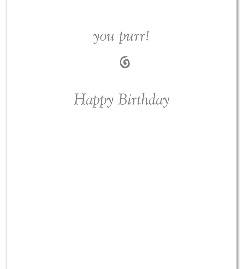 Inside of Birthday Card – playful illustration of a cat scratching with a lighthearted birthday message, perfect for feline fans, available at Be Charmed