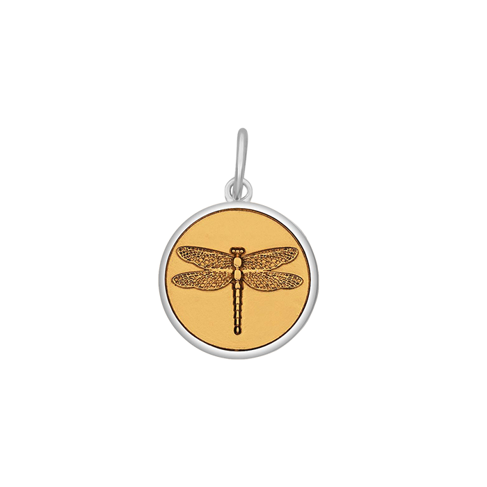 Gold Center Lola Dragonfly pendant symbolizing transformation freedom and adaptability, meaningful nature-inspired charm jewelry gift, Available at Be Charmed