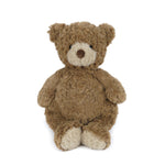 Brown teddy bear on a white background. Available at Be Charmed
