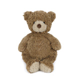 Brown teddy bear on a white background. Available at Be Charmed