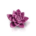 A purple mini succulent plant Nora Fleming Mini with a flower-like top, designed for a dish charm. Available at Be Charmed