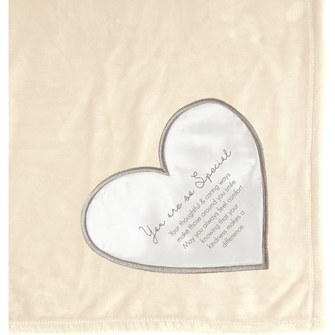 Pavillion Gift Company 50x60 Royal Plush Blanket Someone Special