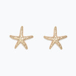 Gold starfish earrings on a white background. Available at Be Charmed