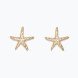 Gold starfish earrings on a white background. Available at Be Charmed