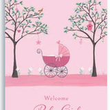 Pictura - Baby Girl Card