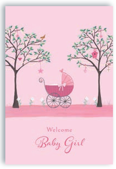 Pictura - Baby Girl Card