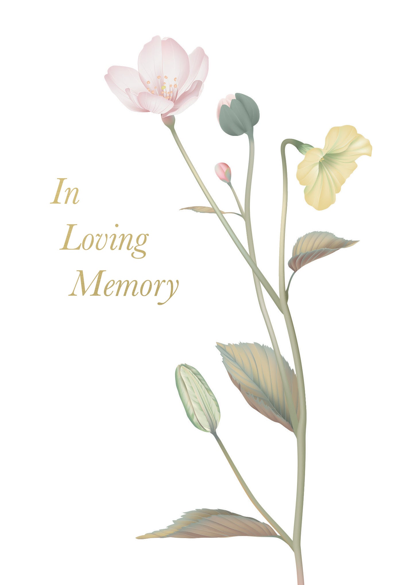 Pictura - Sympathy Card - 61879