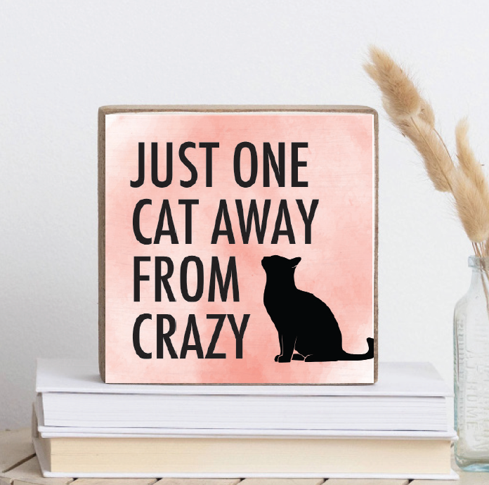 A wooden decorative block with a cat silhouette and the phrase 'JUST ONE CAT AWAY FROM CRAZY' on a pink background, placed on a stack of books. Available at Be Charmed