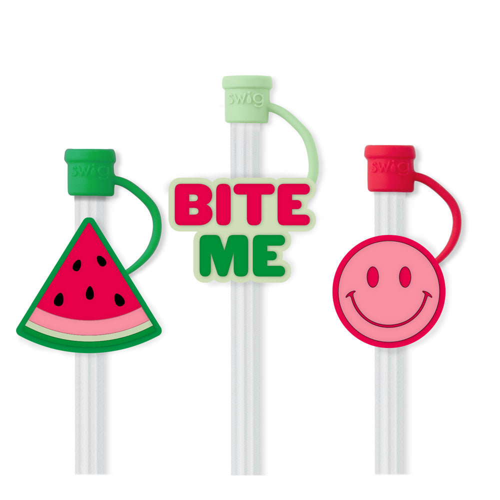 Swig Melon Slice Straw Topper Set