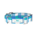 Scout Friend of Dorothy Dog Collar