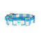 Scout Friend of Dorothy Dog Collar