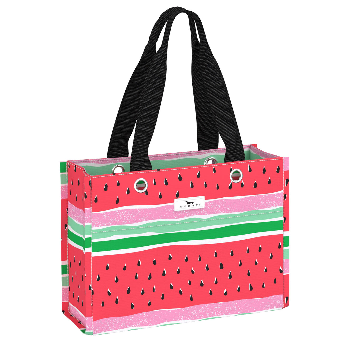 Scout Melondramatic Tiny Package