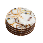 Mud Pie White Oyster Coaster Set