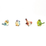 Two's Company Birds Assorted Colors