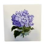 Paint the Town Hydrangea Coaster