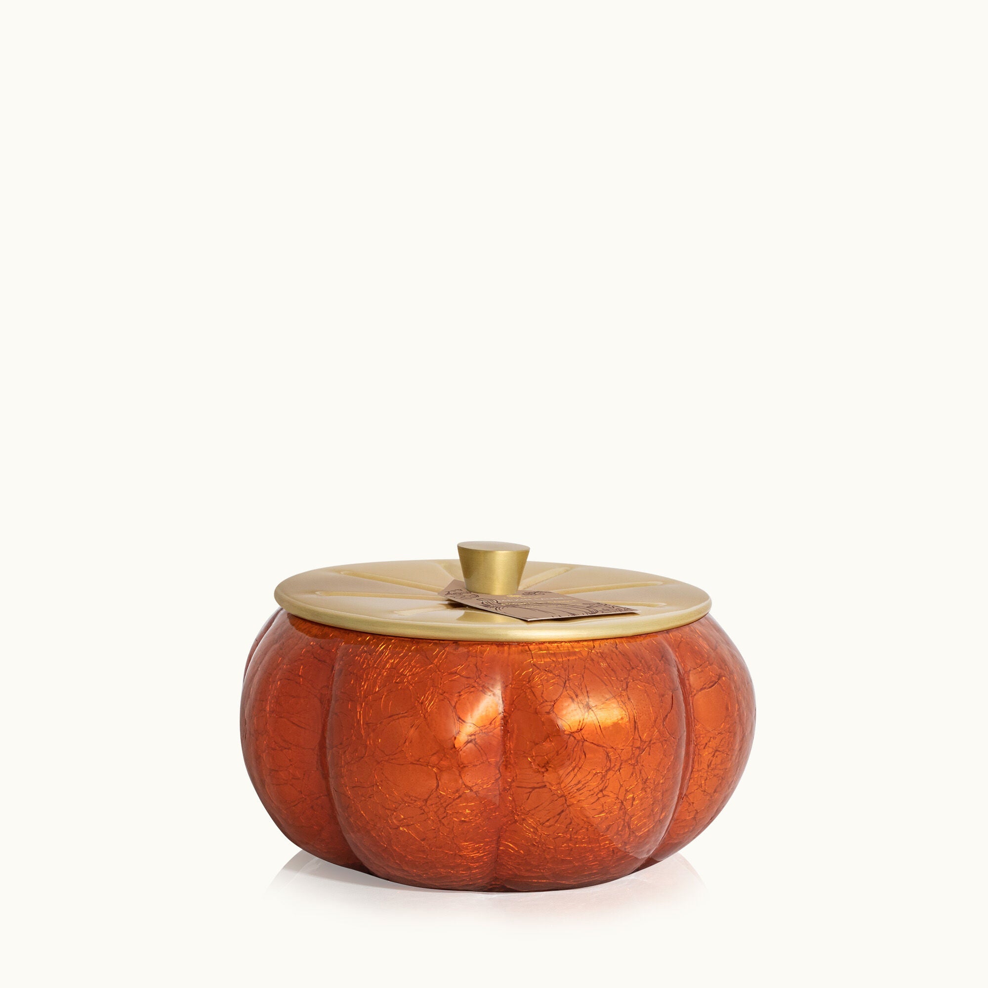 Thymes Pumpkin Laurel 15 oz large candle in burnt-orange frosted glass with gold accents—spiced pumpkin scent. Available at Be Charmed.