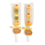 Two lollipops with duck & daisies decorations in clear packaging on a white background. Available at Be Charmed