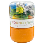 Toy set with a zebra and other animals in a clear container labeled 'Young + Wild'. Available at Be Charmed