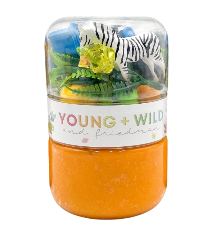 Toy set with a zebra and other animals in a clear container labeled 'Young + Wild'. Available at Be Charmed