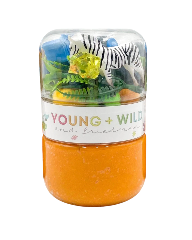Toy set with a zebra and other animals in a clear container labeled 'Young + Wild'. Available at Be Charmed