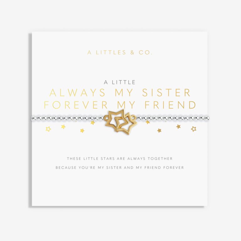 A Littles & Co Gold and Silver Always My Sister, Forever My Friend Bracelet on Card