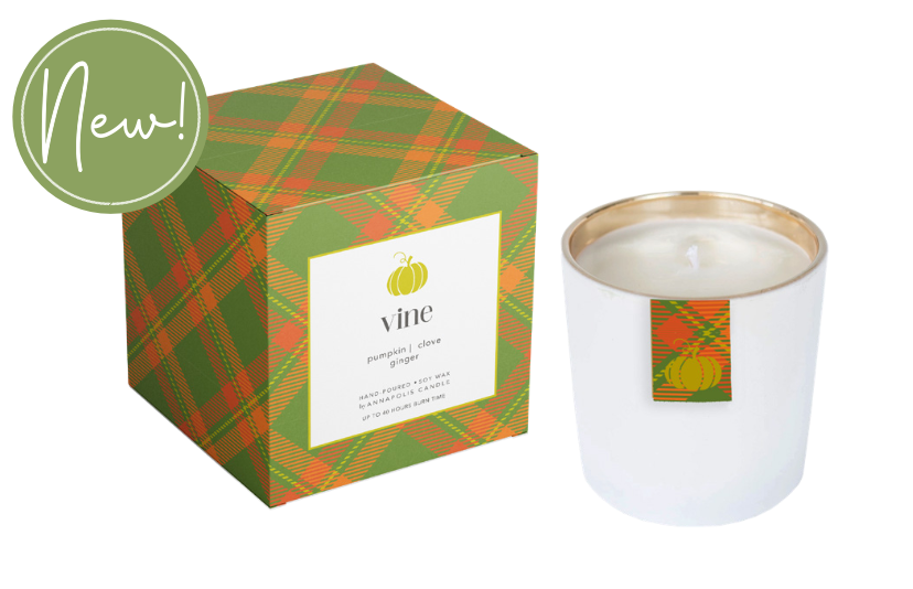 Annapolis Candle Vine Pumpkin Boxed Candle – warm pumpkin scent with elegant boxed packaging. Available at Be Charmed.