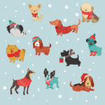 Boston International holiday cocktail napkins in sweater dogs; featuring festive seasonal patterns available at Be Charmed