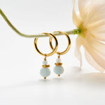 Gold hoop earrings with light blue bead drops, styled with a pale flower stem on a clean white background.