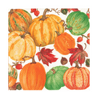 A Caspari square paper napkin featuring a colorful autumn pattern of pumpkins, gourds, red leaves, acorns, and berries on a white background. Available at Be Charmed